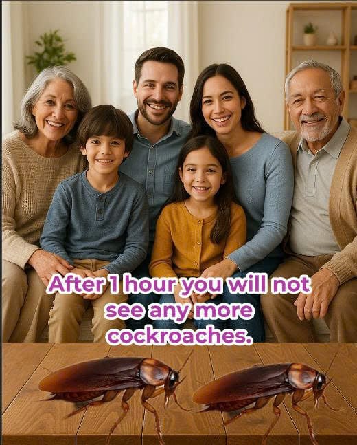 1 Bag of 6 Pills - Cockroach Killer for Pubs